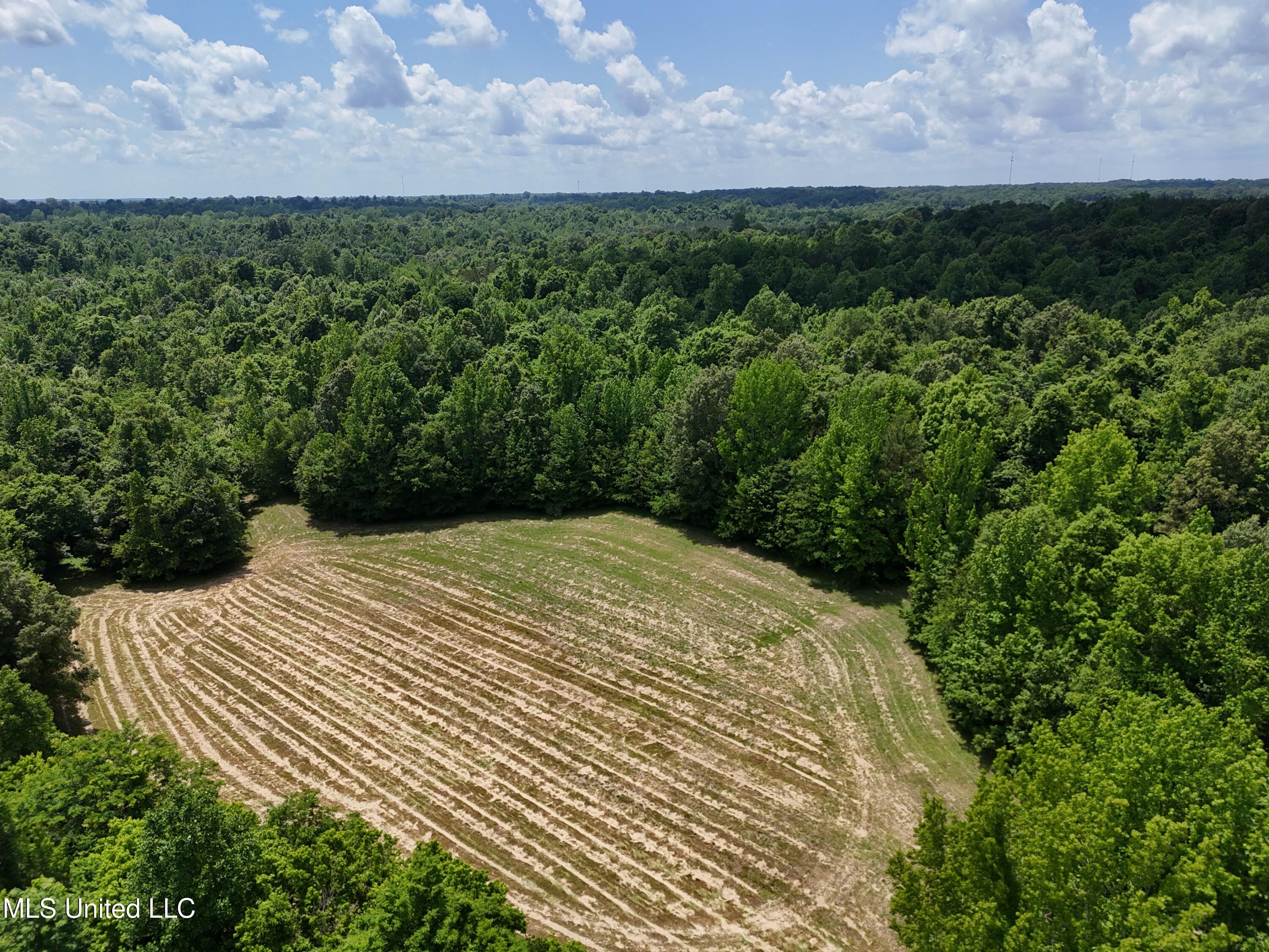 0001 Ingram Road, Benton, Mississippi image 36