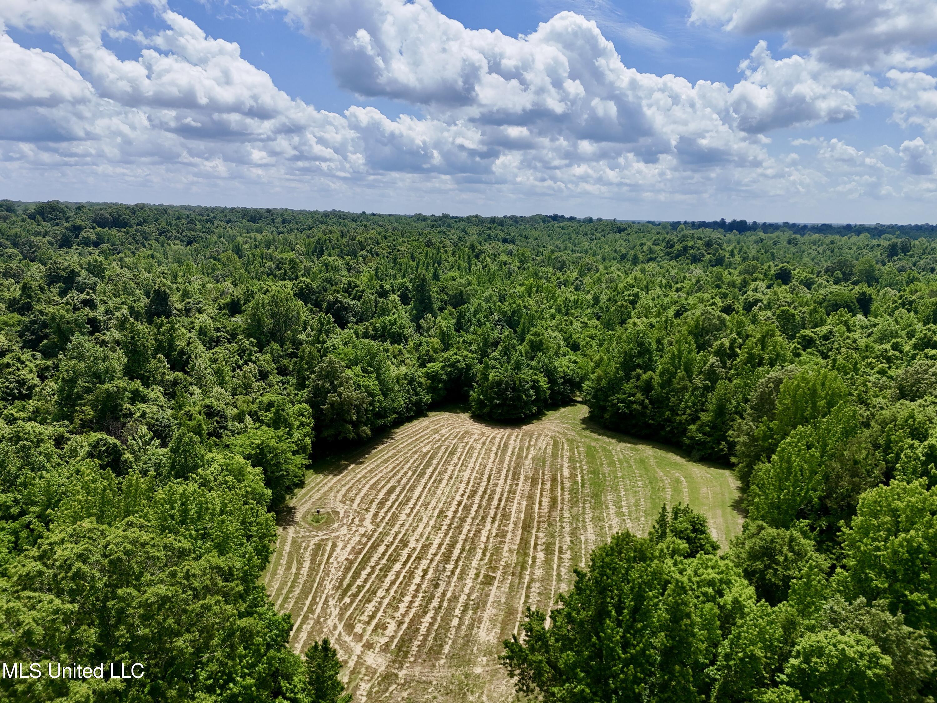 0001 Ingram Road, Benton, Mississippi image 35