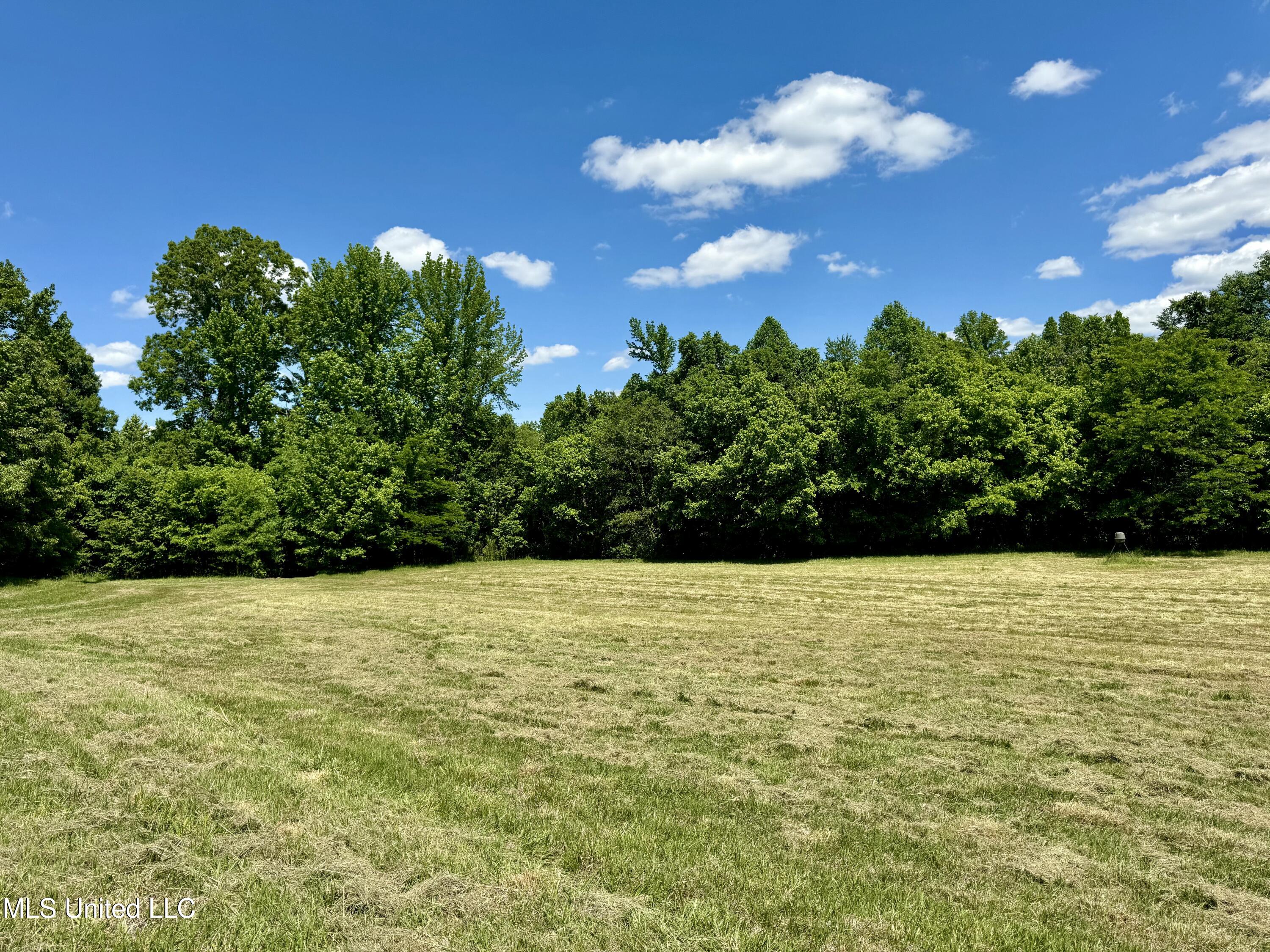 0001 Ingram Road, Benton, Mississippi image 25