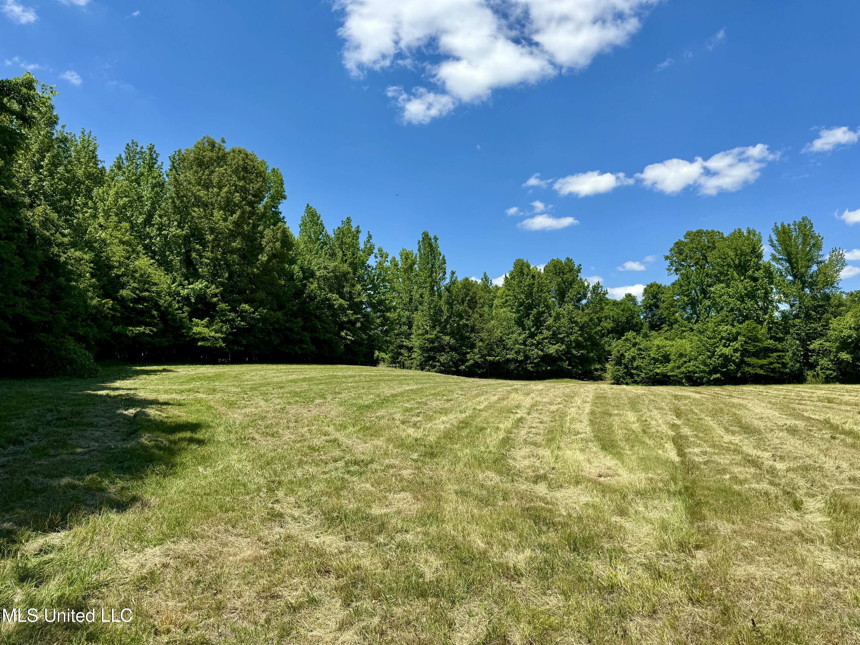 0001 Ingram Road, Benton, Mississippi image 6