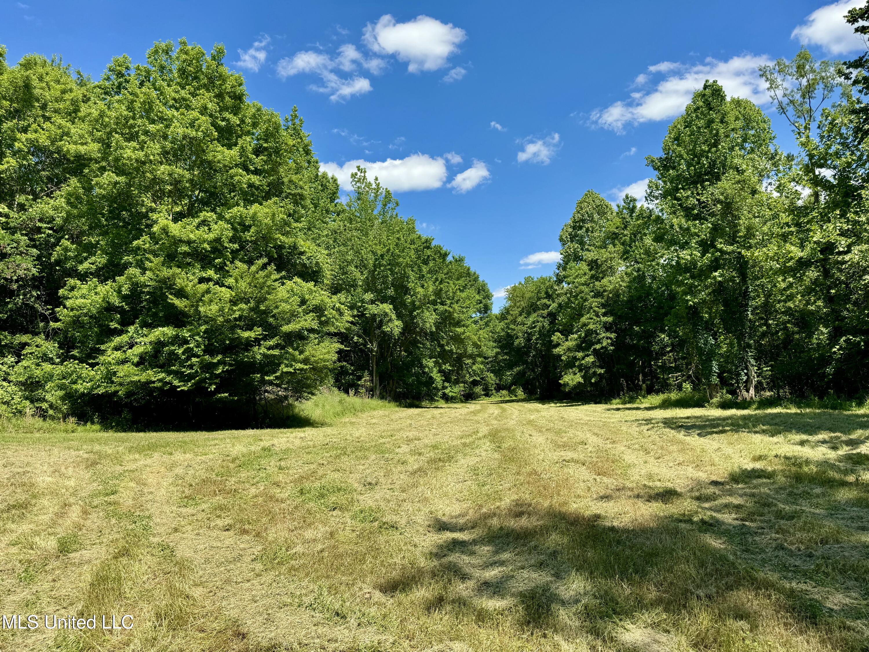 0001 Ingram Road, Benton, Mississippi image 18