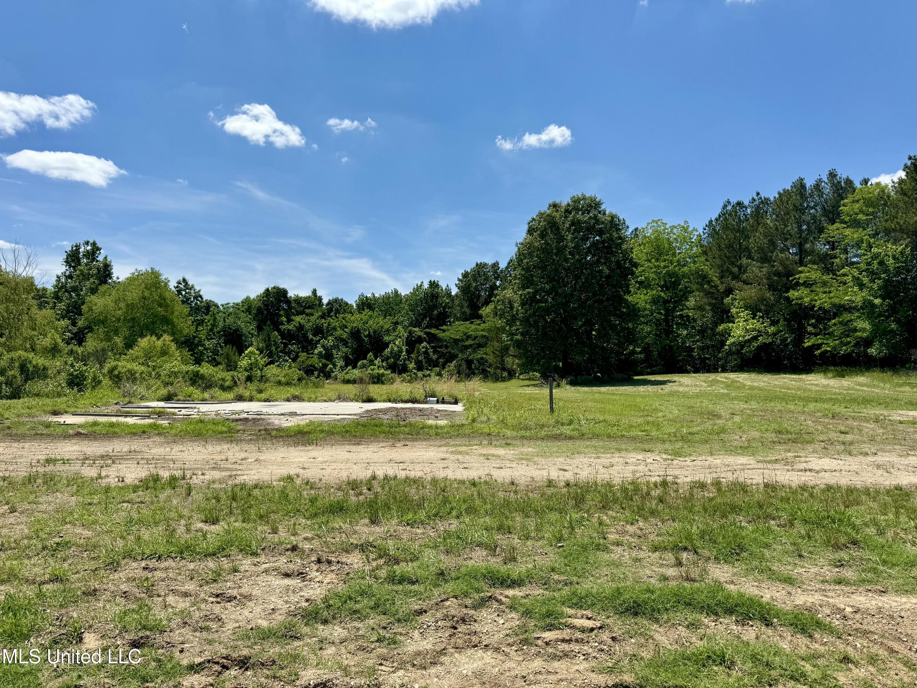 0001 Ingram Road, Benton, Mississippi image 40