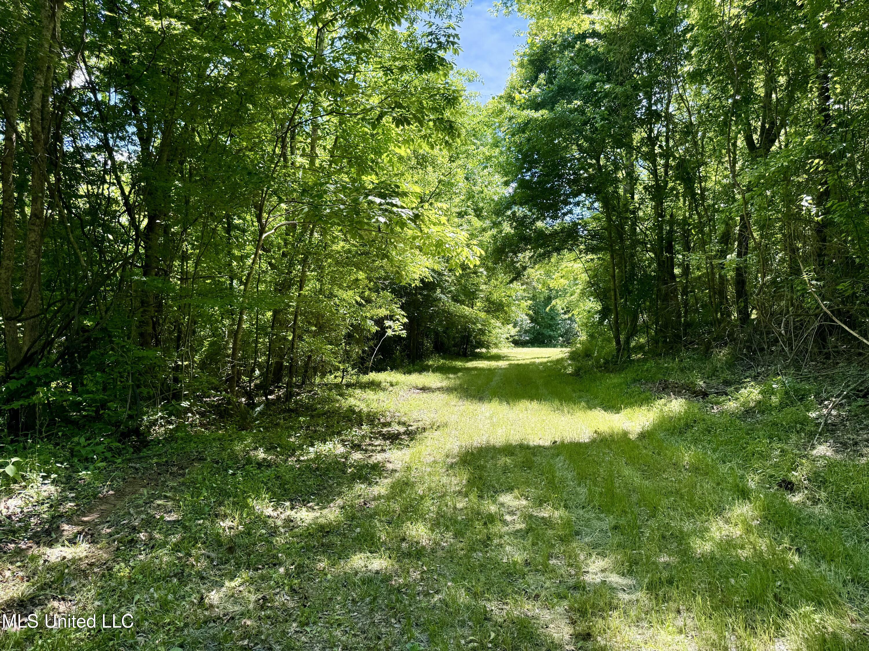 0001 Ingram Road, Benton, Mississippi image 30