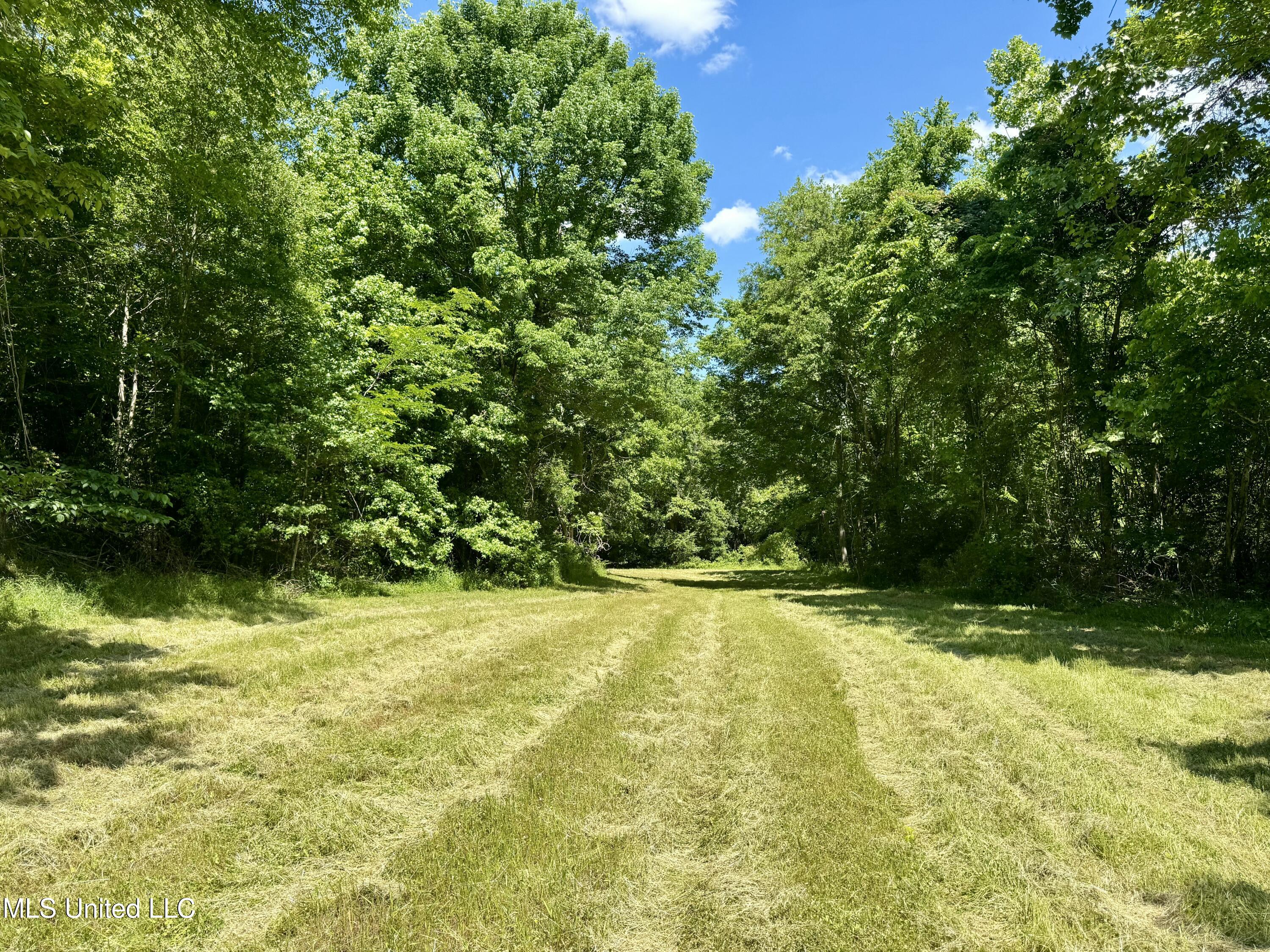 0001 Ingram Road, Benton, Mississippi image 24