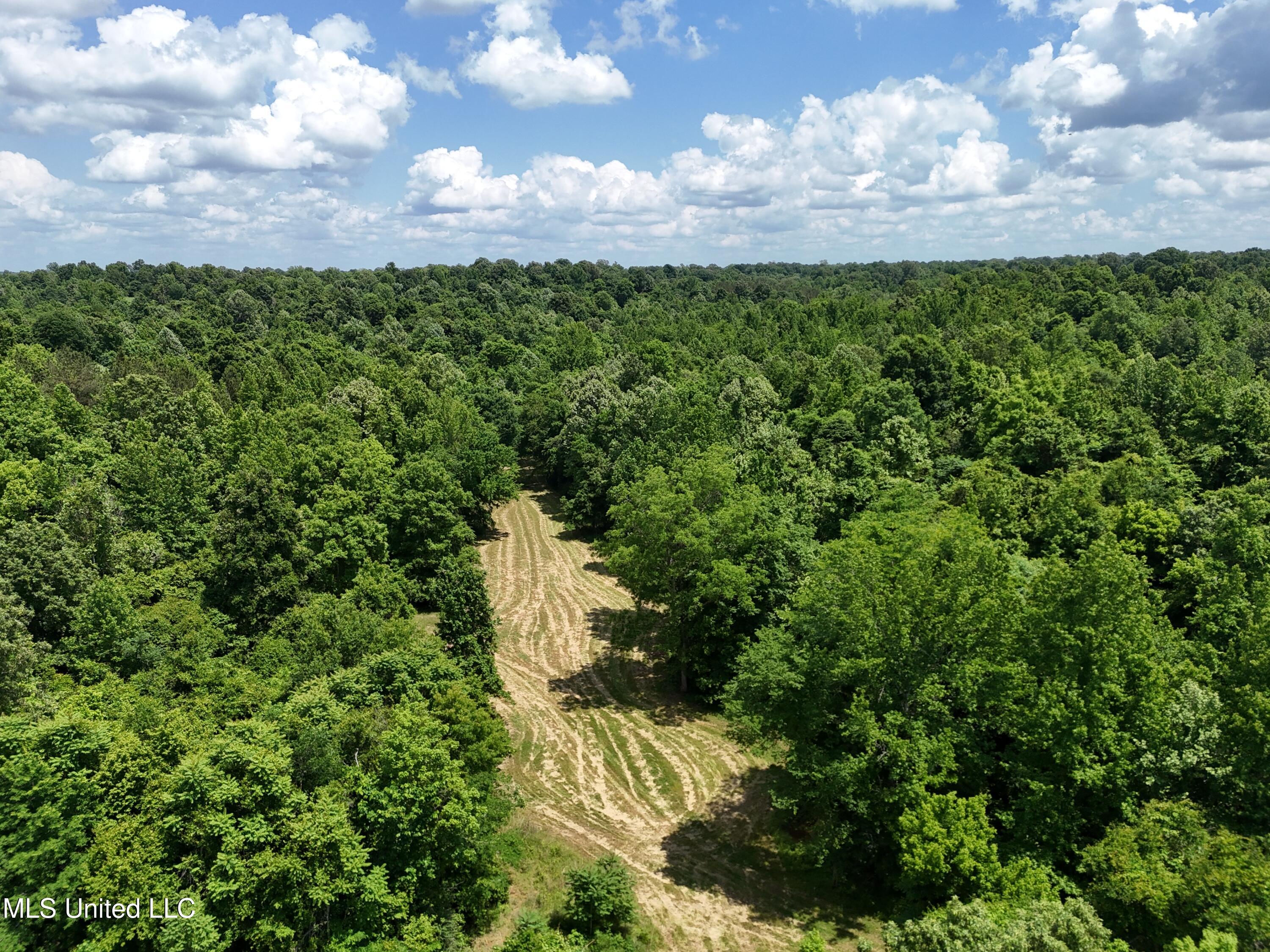 0001 Ingram Road, Benton, Mississippi image 23