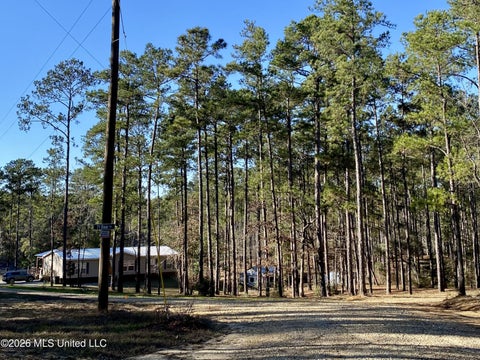 Homes For Sale - 18 Eagle Drive<br/> Carriere, MS 39426