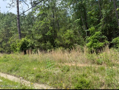 Vacant Land For Sale - W Adams Street<br/> Hancock County, Bay Saint Louis, MS 39520