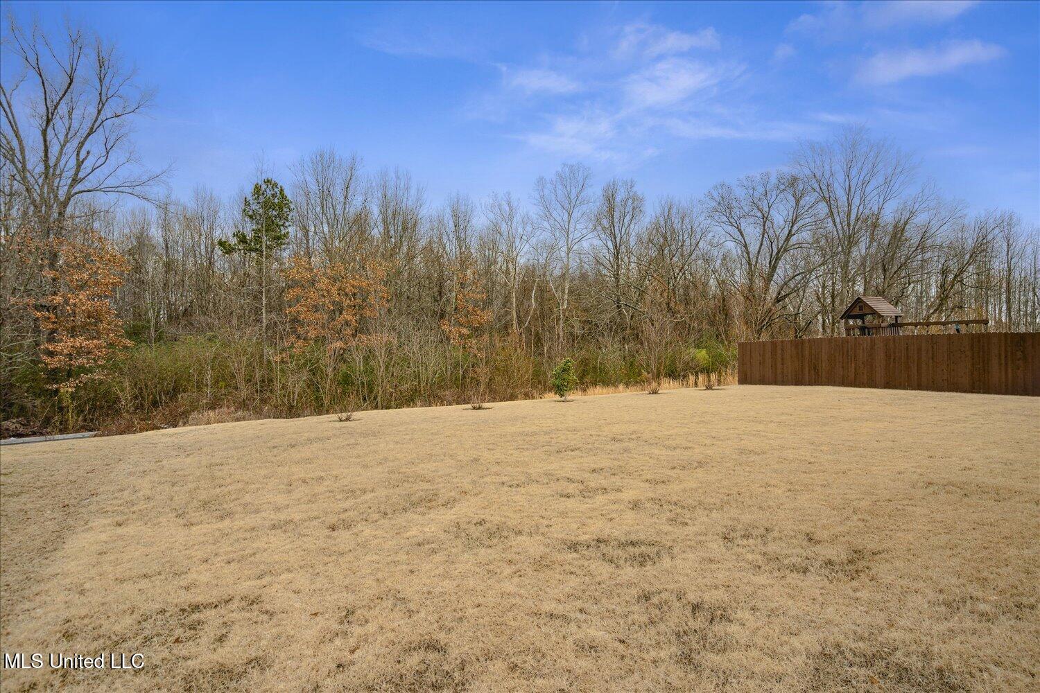 9626 Crape Myrtle Drive, Olive Branch, Mississippi image 31