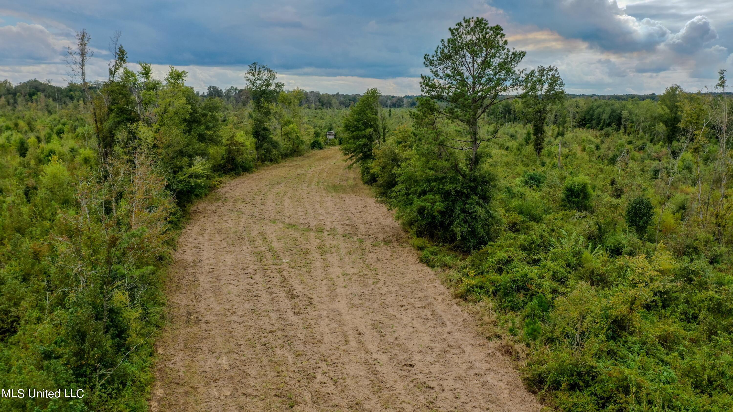 Red Dog Rd, Carthage, Mississippi image 6