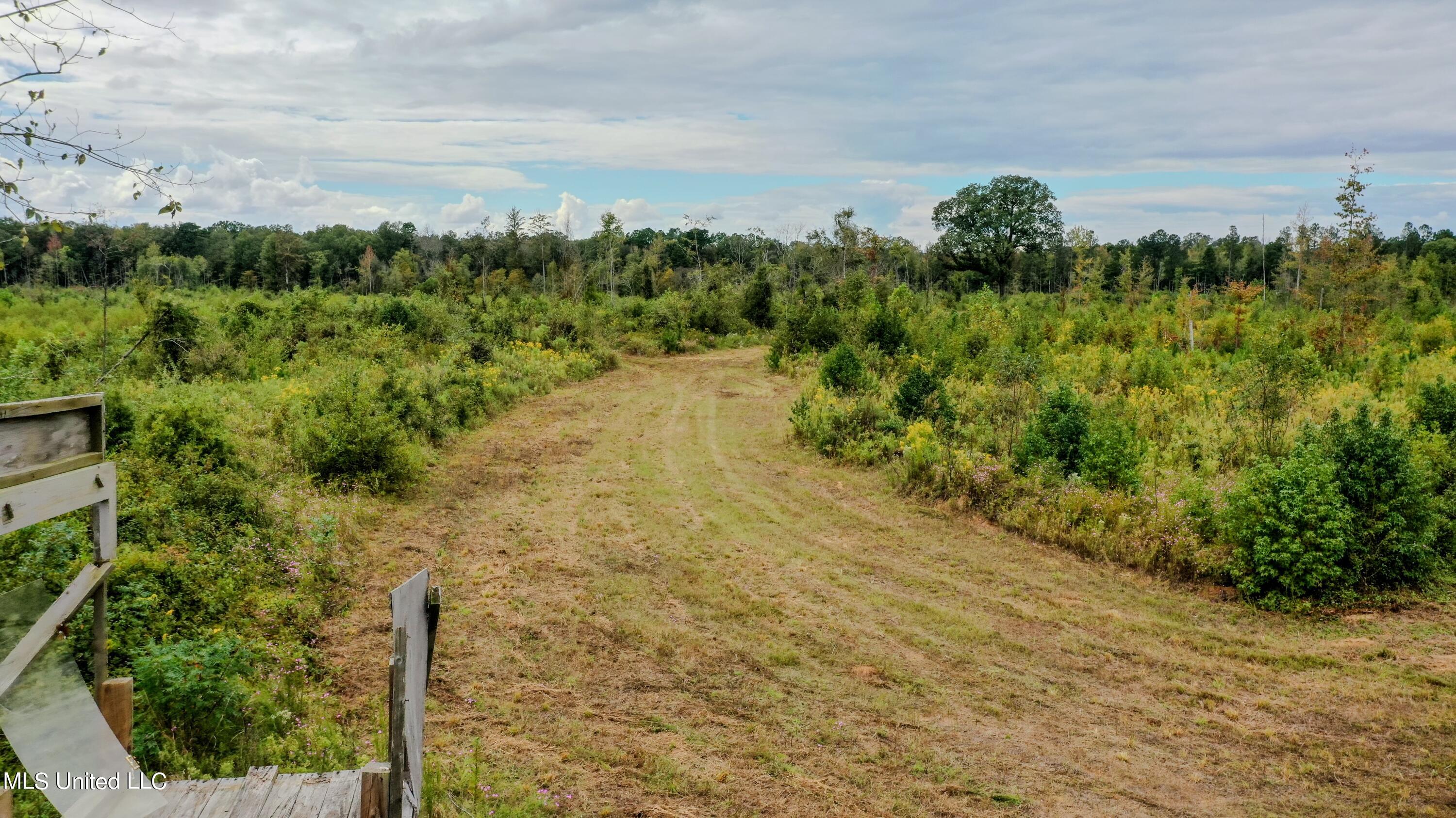 Red Dog Rd, Carthage, Mississippi image 5