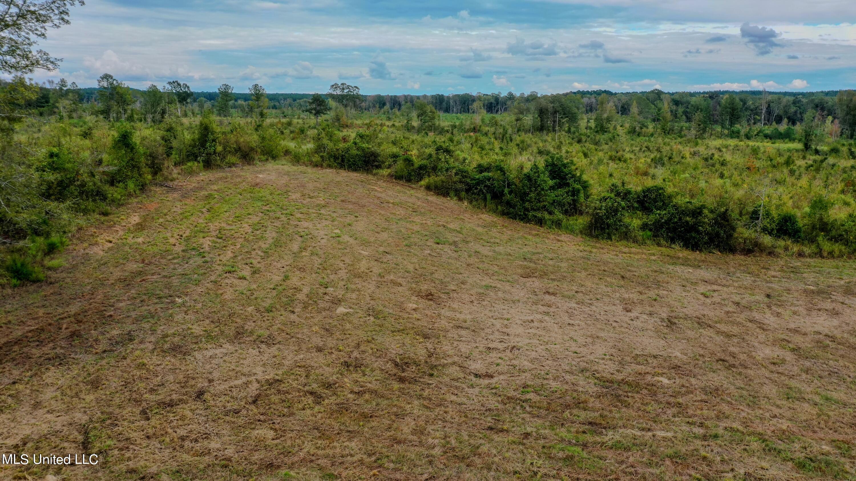 Red Dog Rd, Carthage, Mississippi image 7