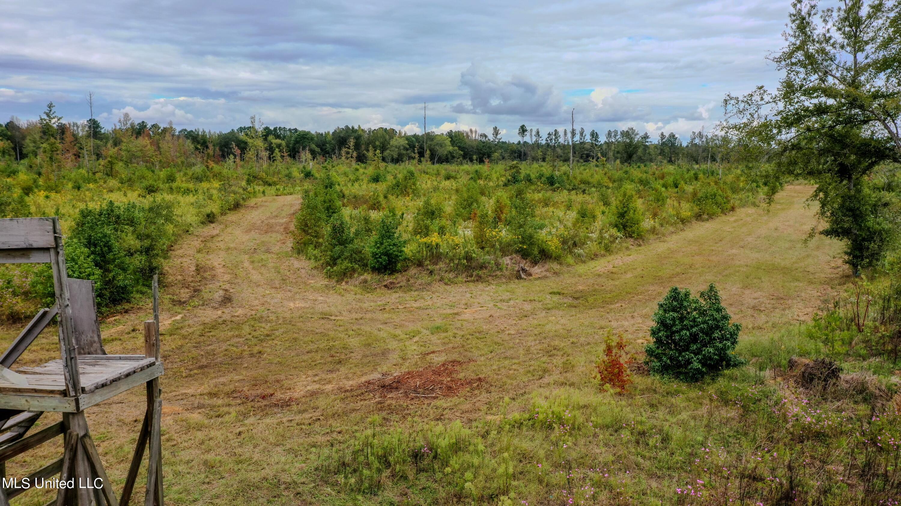 Red Dog Rd, Carthage, Mississippi image 4