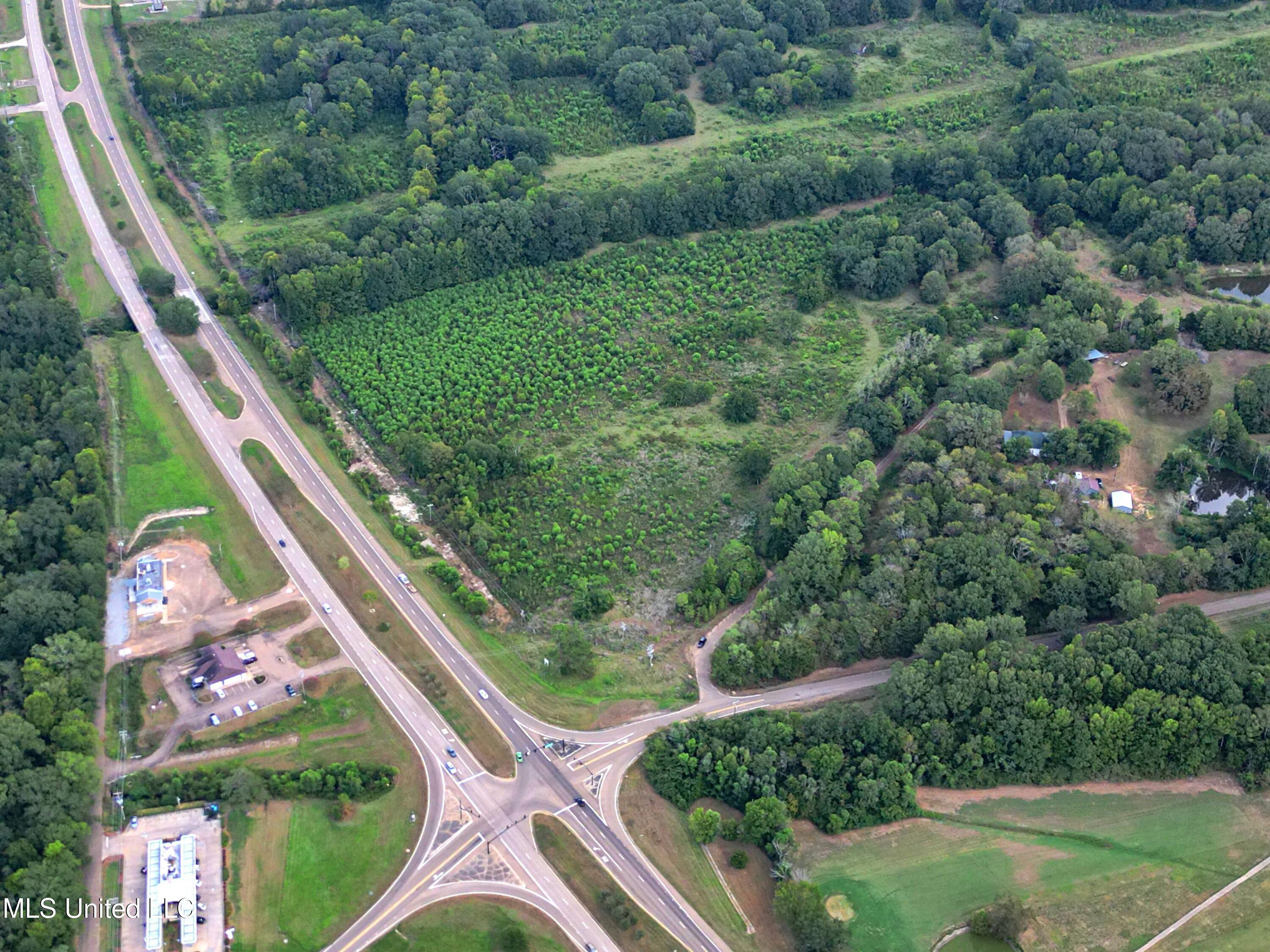 Olde Oak Tree Lane, Raymond, Mississippi image 3