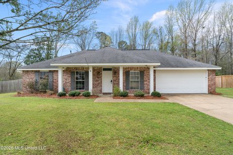 Homes For Sale - 537 Parkview Cove<br/> Richland, MS 39218