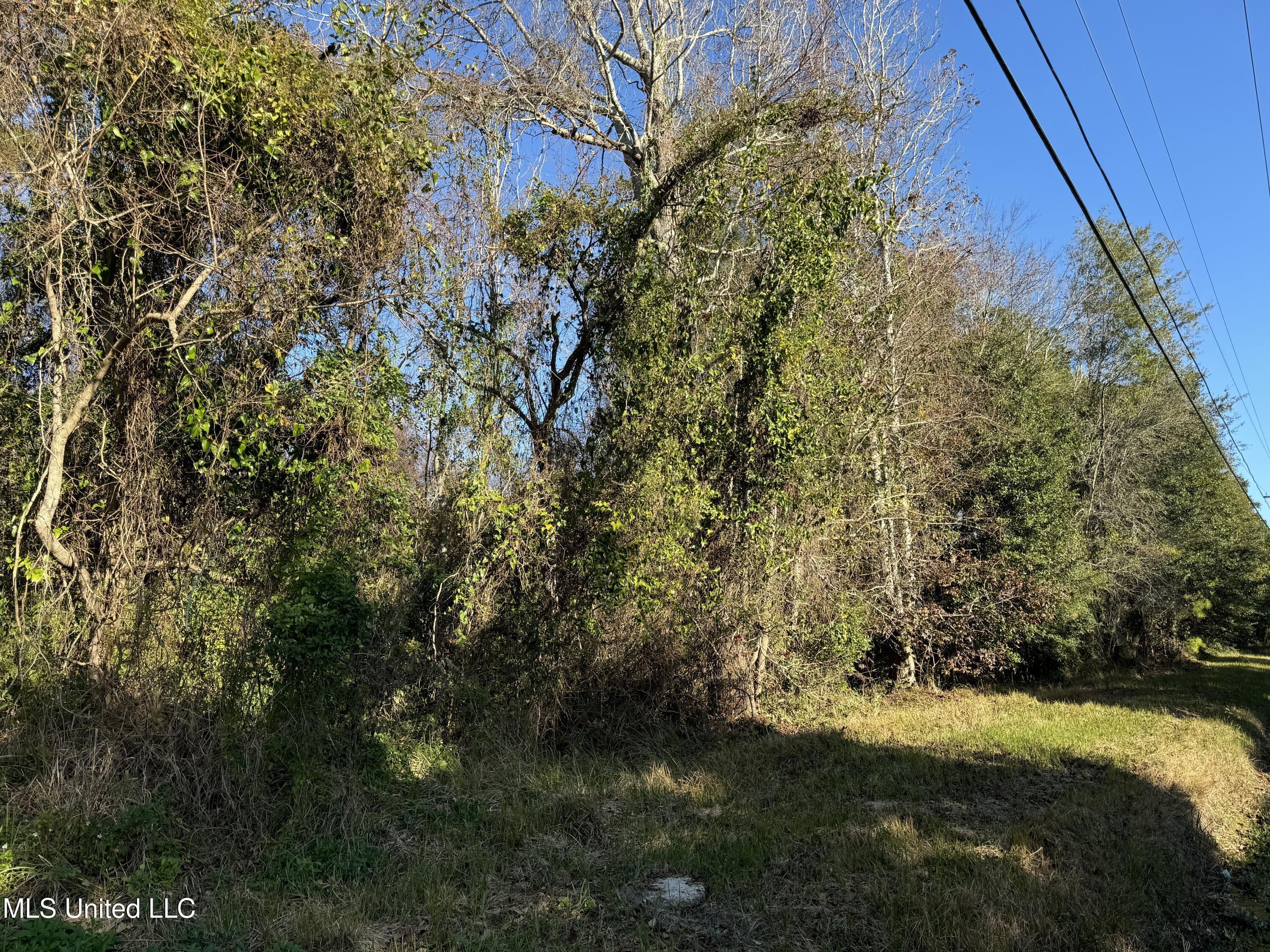 Seacliff Boulevard, Ocean Springs, Mississippi image 1