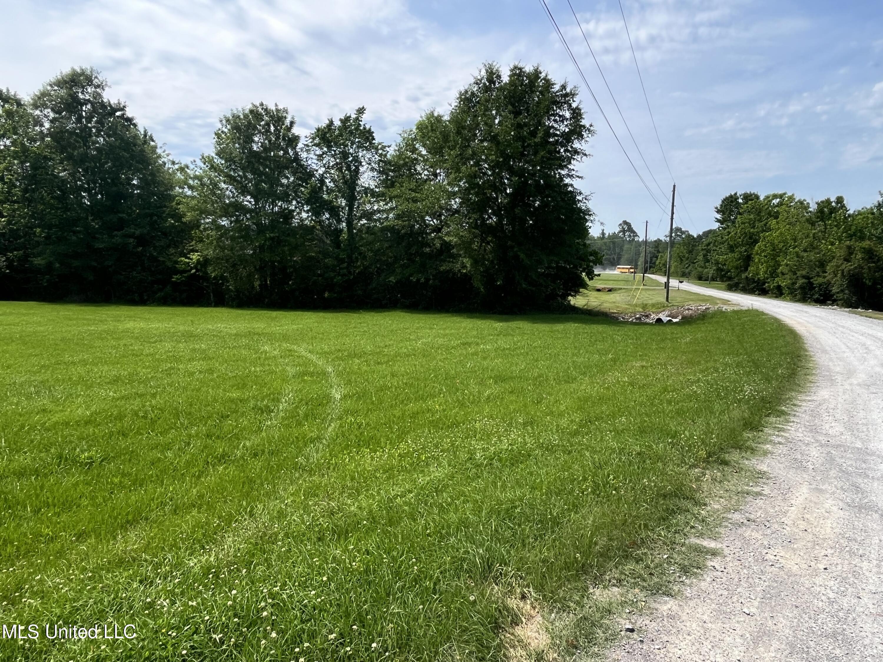 Sky Lake Drive, Pelahatchie, Mississippi image 8