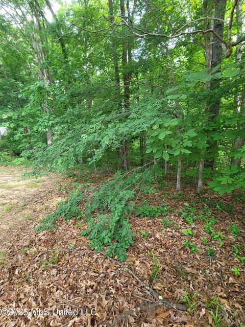 Vacant Land For Sale - 1476 Thunderbird Drive<br/> Hernando, MS 38632