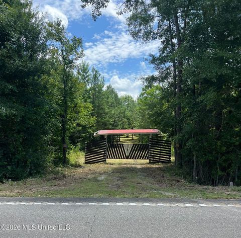 Vacant Land For Sale - 9688 Us-11<br/> Pearl River County, Poplarville, MS 39470