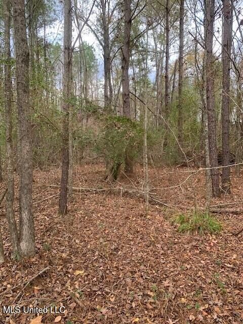 Vacant Land For Sale - 4900 Old Highway 51<br/> Terry, MS 39170