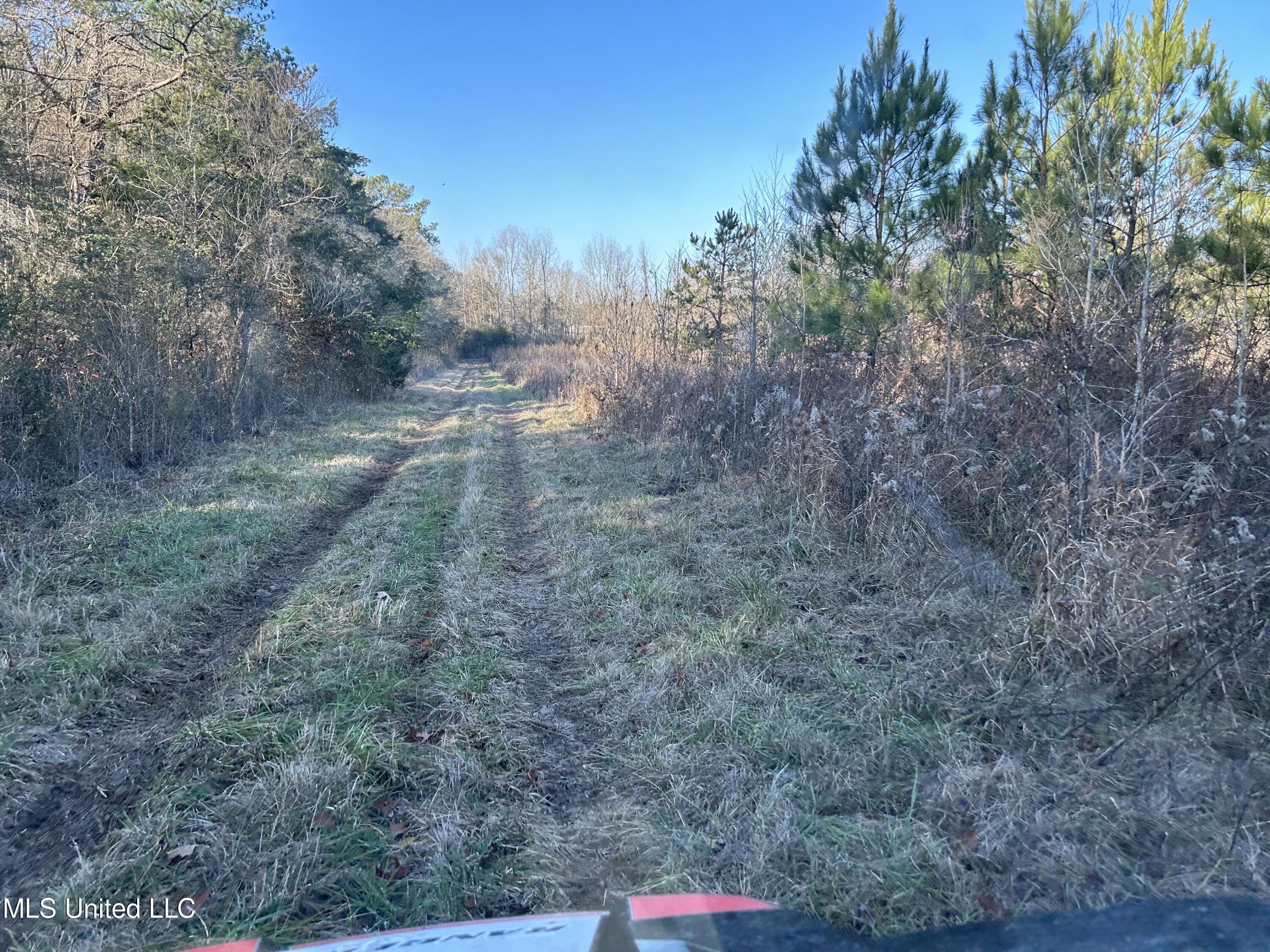 U.s. 49 Frontage Road, Richland, Mississippi image 1