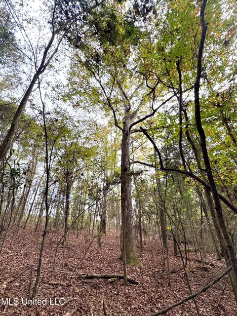 Vacant Land For Sale - 000 Elarton Road<br/> Osyka, MS 39657