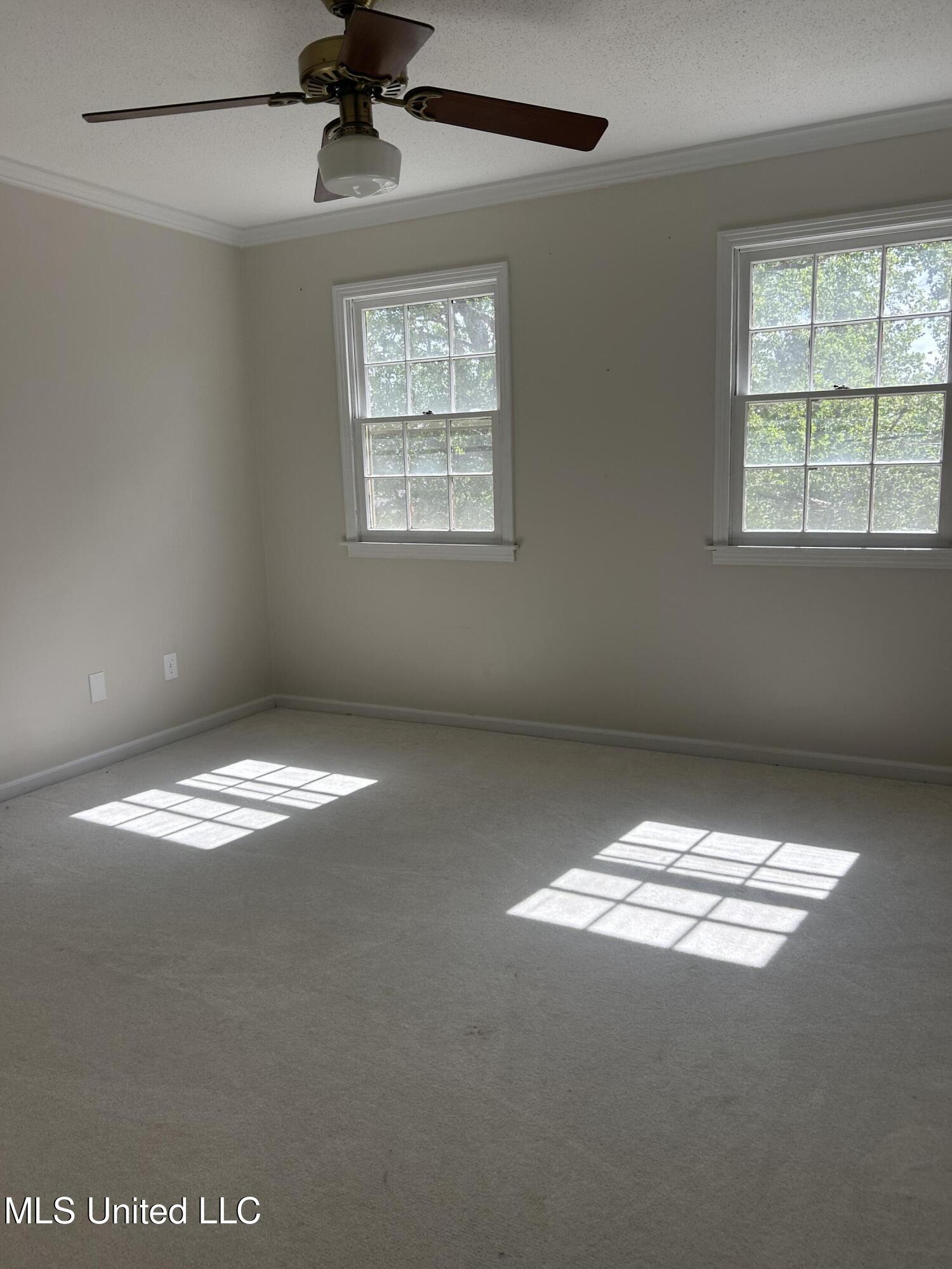 104 Gwin Street #5, Greenwood, Mississippi image 12