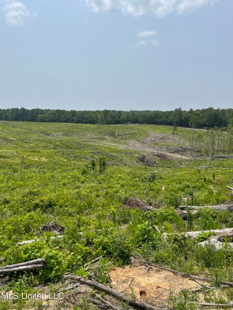 Vacant Land For Sale - Hendrix/pine Grove Road<br/> Coffeeville, MS 38922