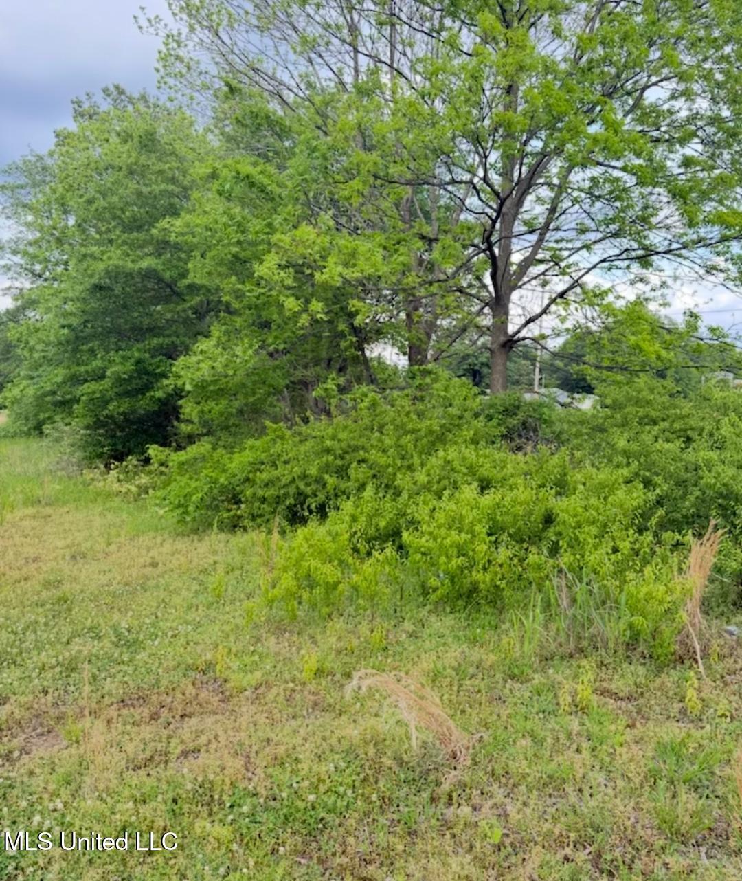Swoop Road, Drew, Mississippi image 11