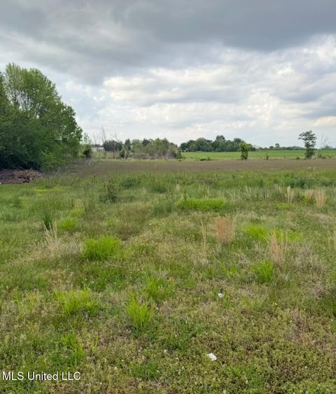 Vacant Land For Sale - Swoop Road<br/> Sunflower County, Drew, MS 38737