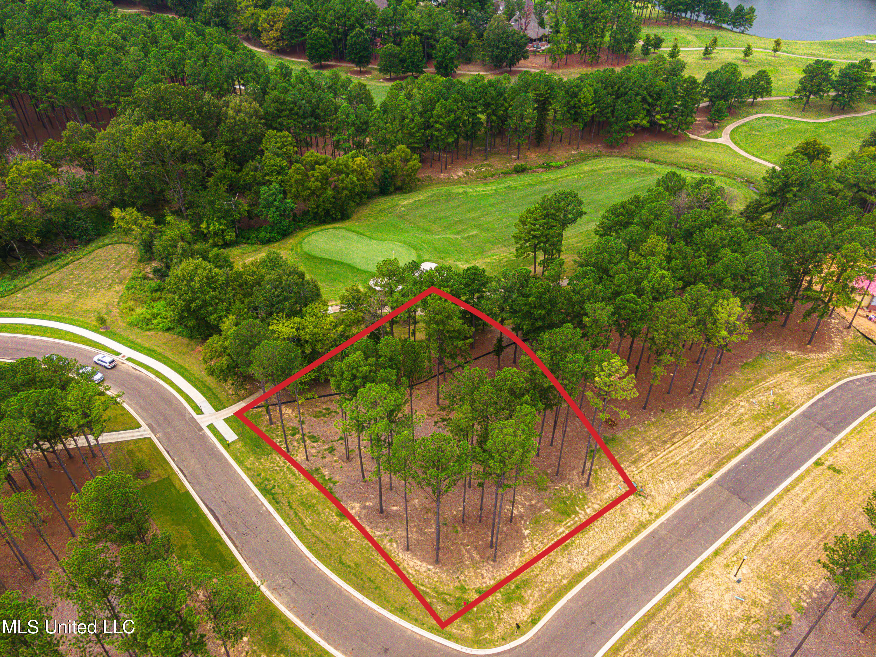 Frances Britton Drive, Madison, Mississippi image 2