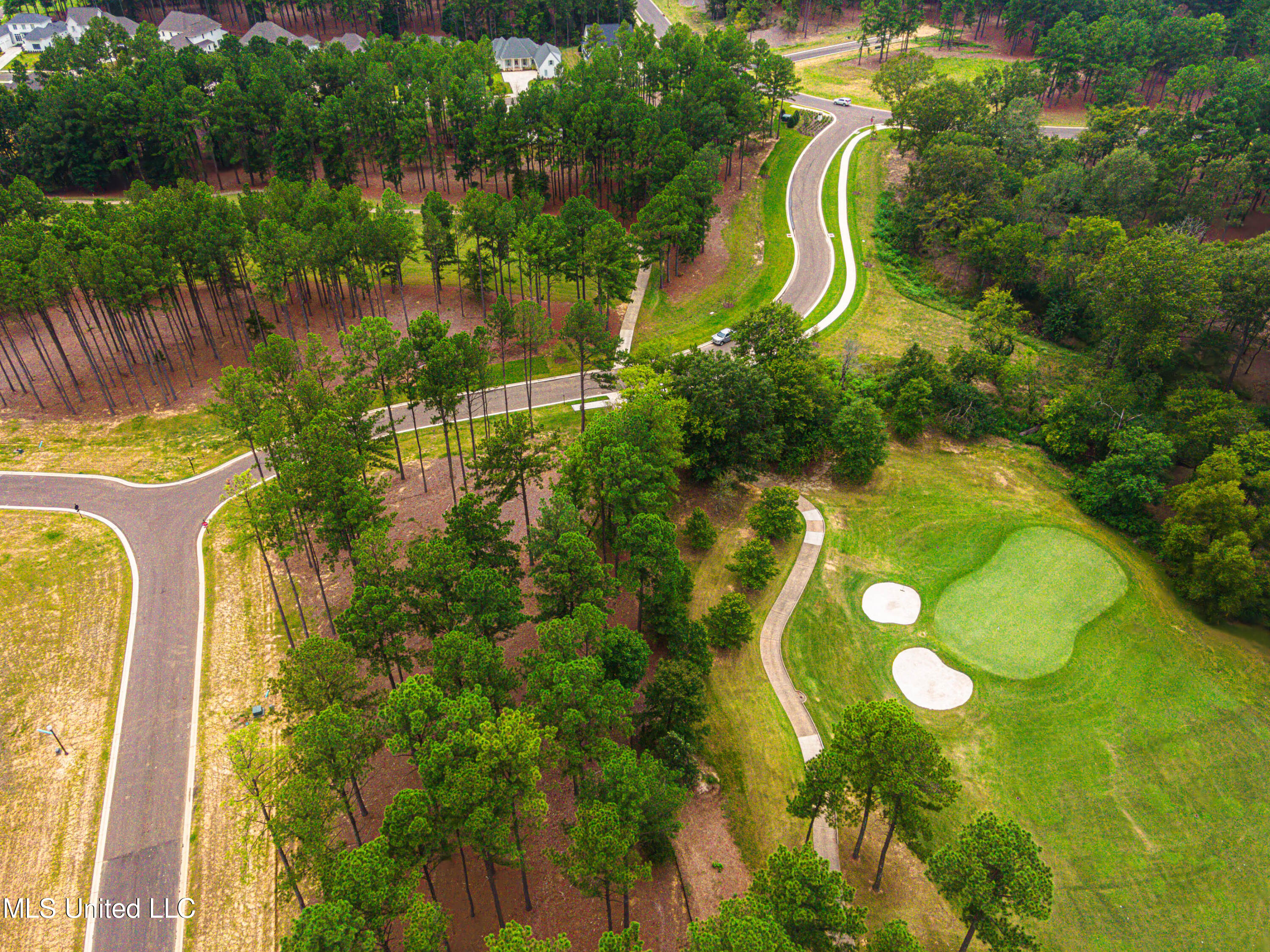 Frances Britton Drive, Madison, Mississippi image 15