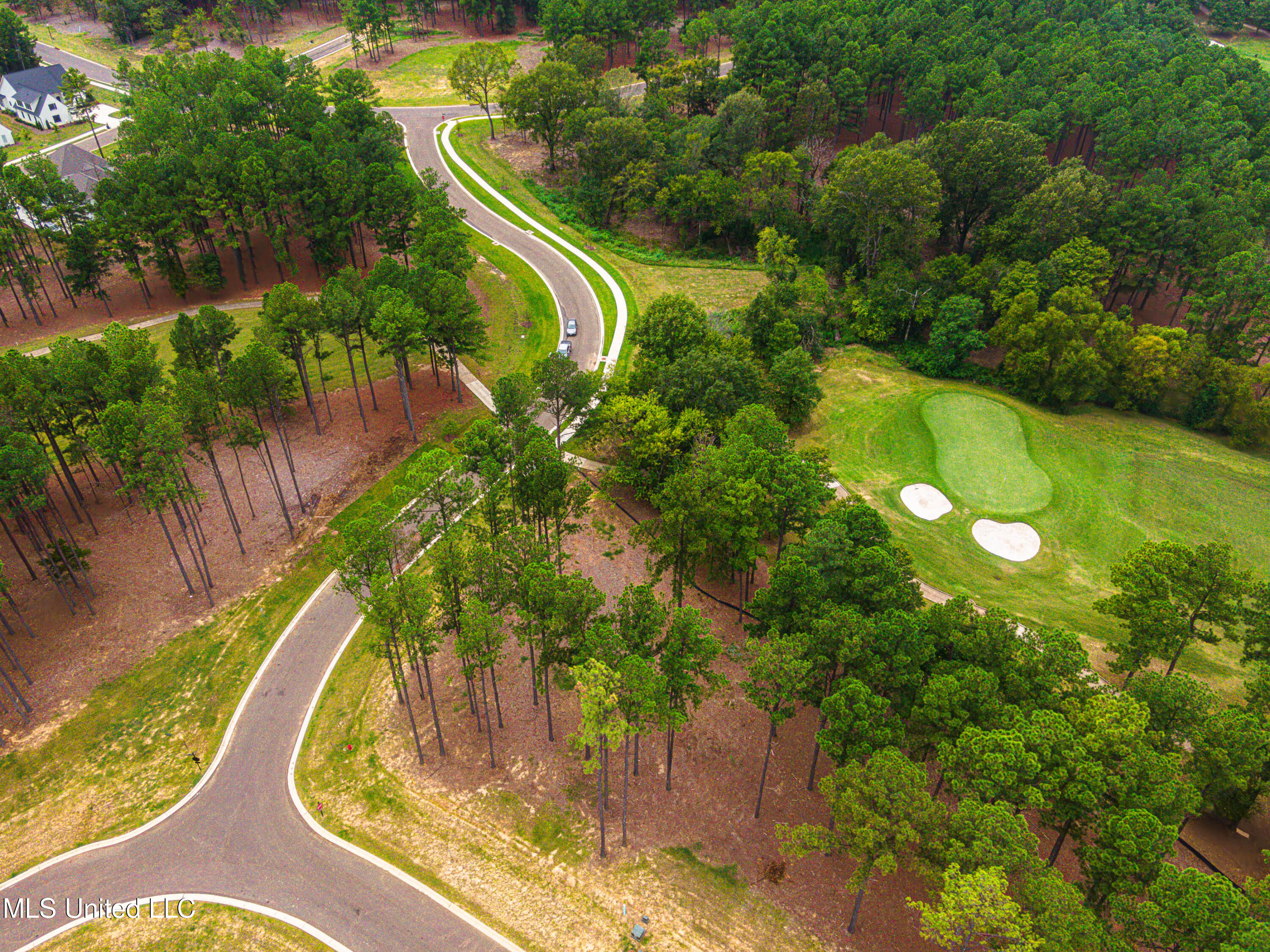Frances Britton Drive, Madison, Mississippi image 14