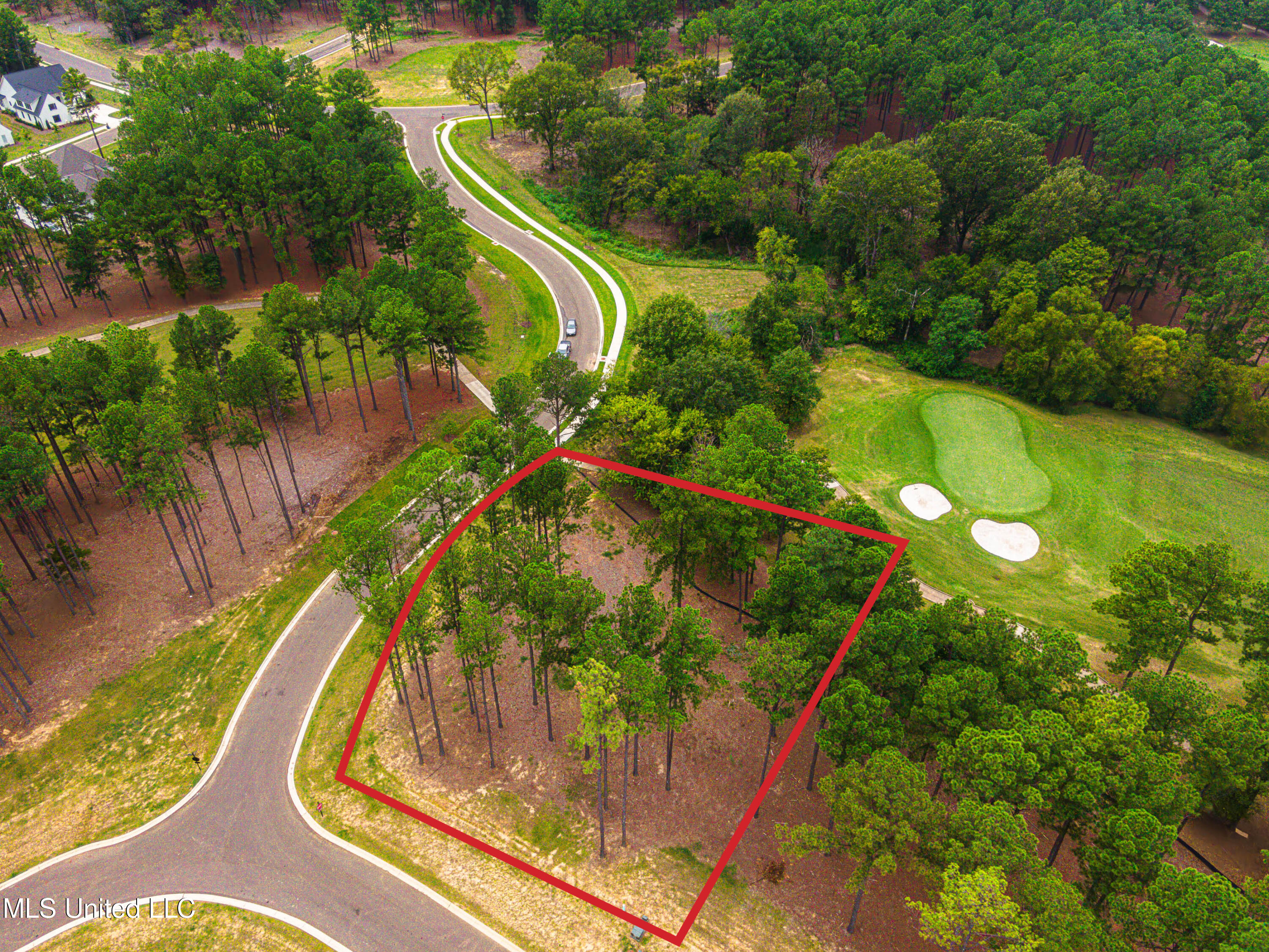 Frances Britton Drive, Madison, Mississippi image 3