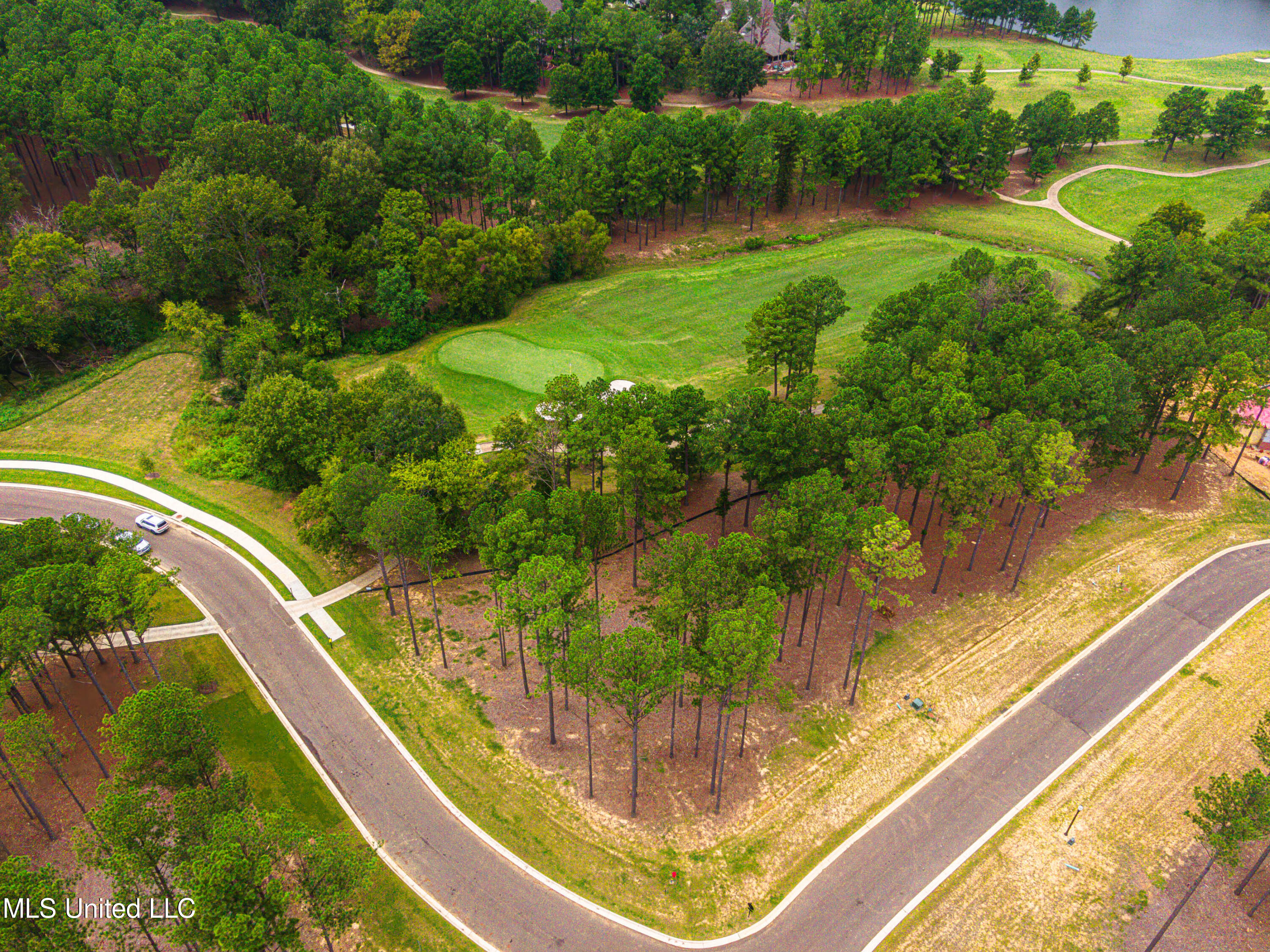 Frances Britton Drive, Madison, Mississippi image 13