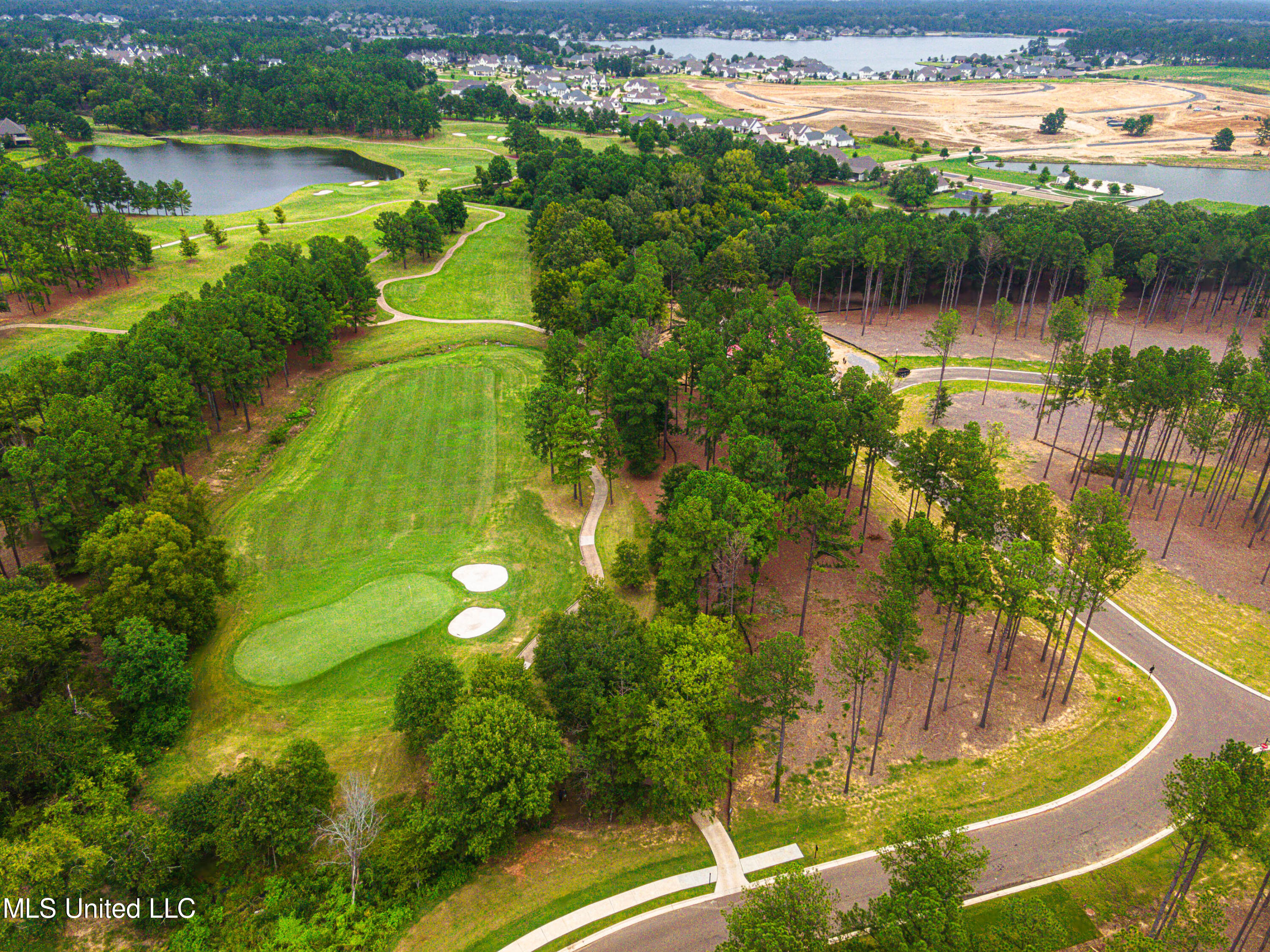 Frances Britton Drive, Madison, Mississippi image 9