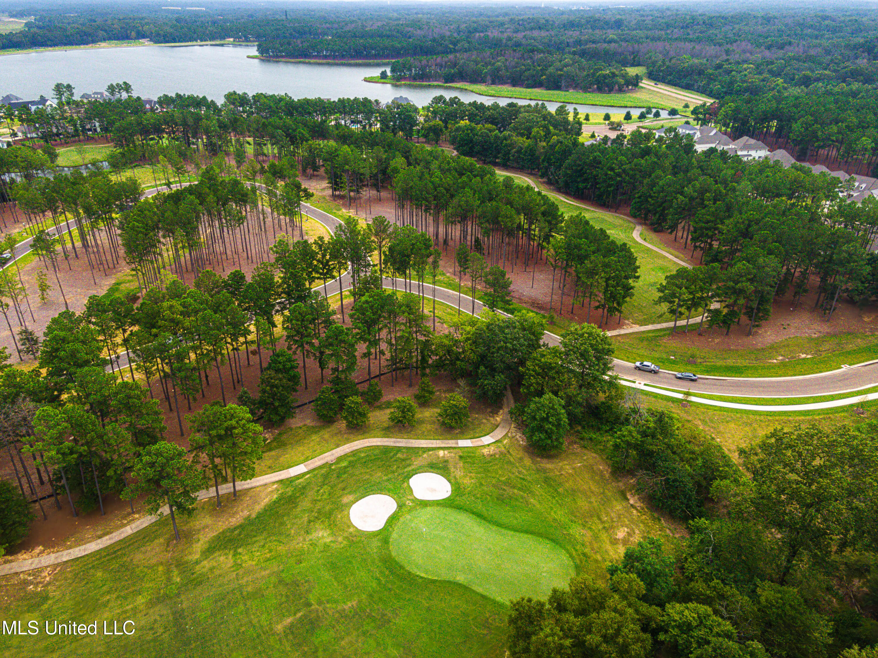 Frances Britton Drive, Madison, Mississippi image 11