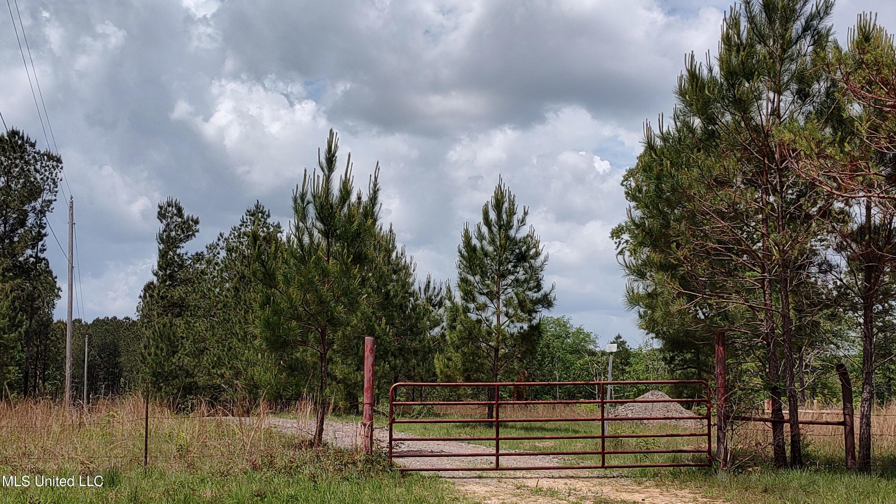 110. Rosenbaum Drive, Poplarville, Mississippi image 3