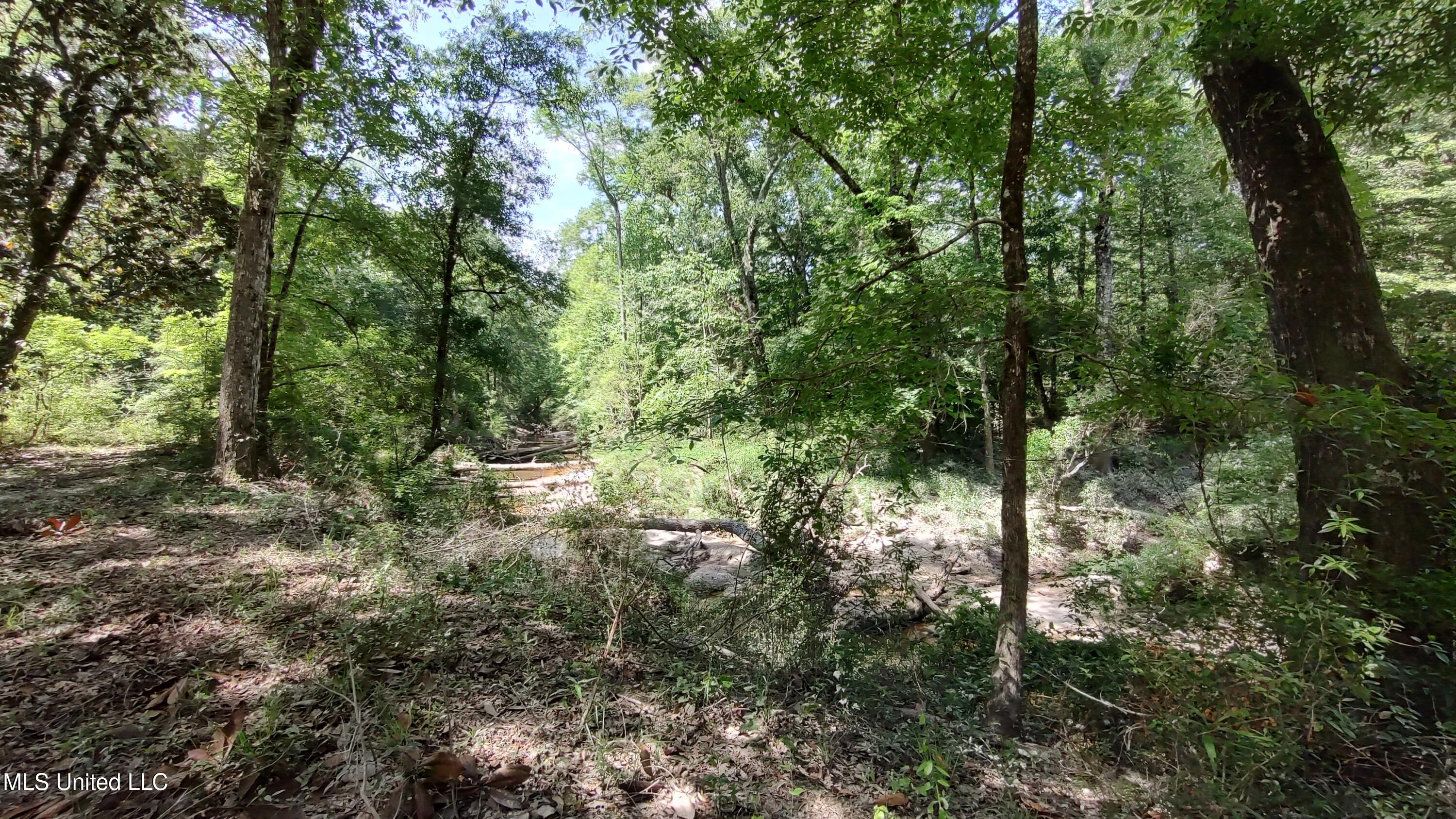 110. Rosenbaum Drive, Poplarville, Mississippi image 37