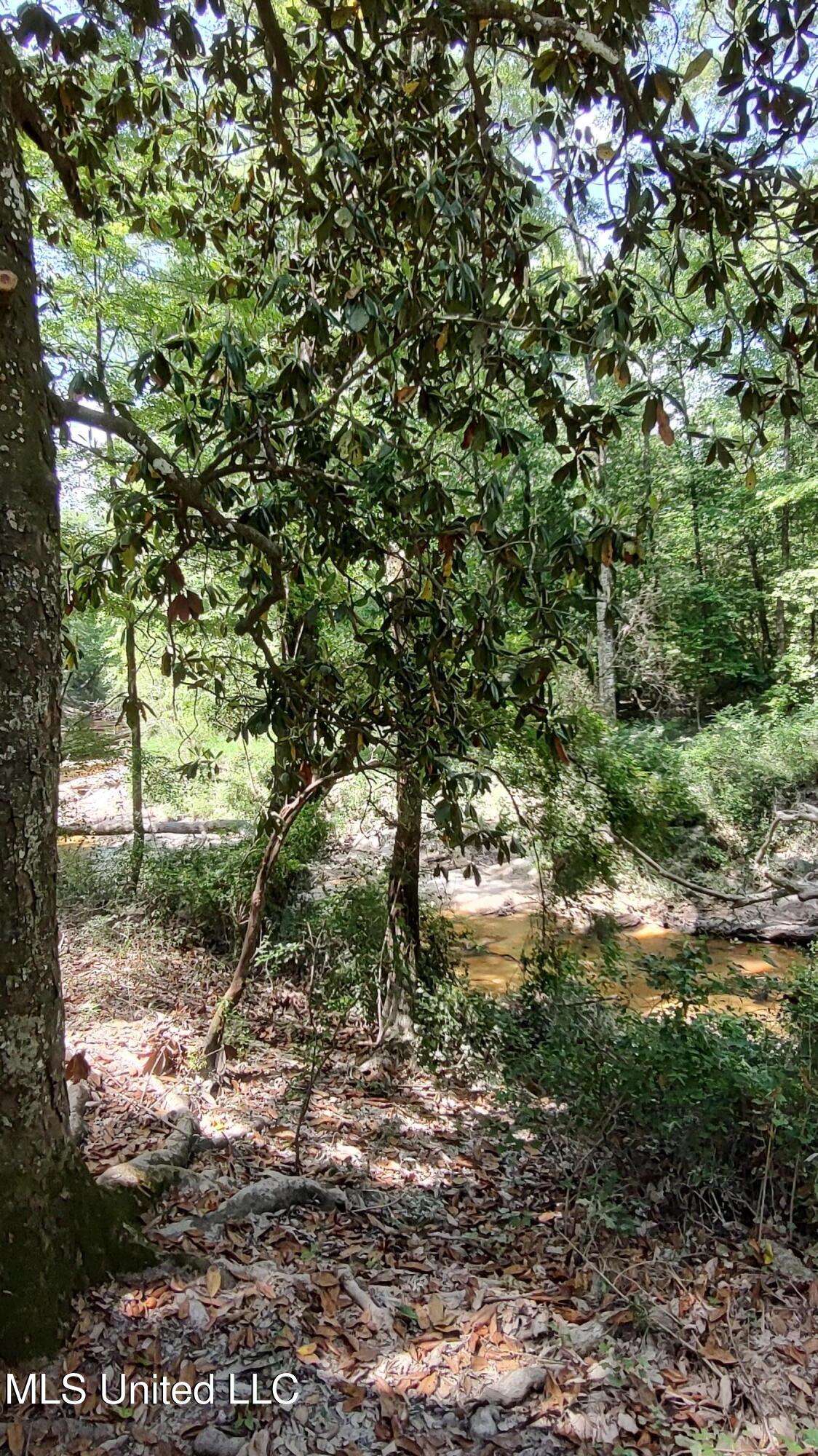 110. Rosenbaum Drive, Poplarville, Mississippi image 29