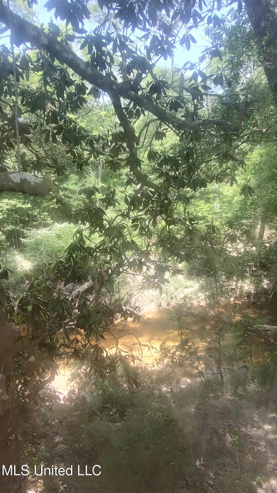 110. Rosenbaum Drive, Poplarville, Mississippi image 40