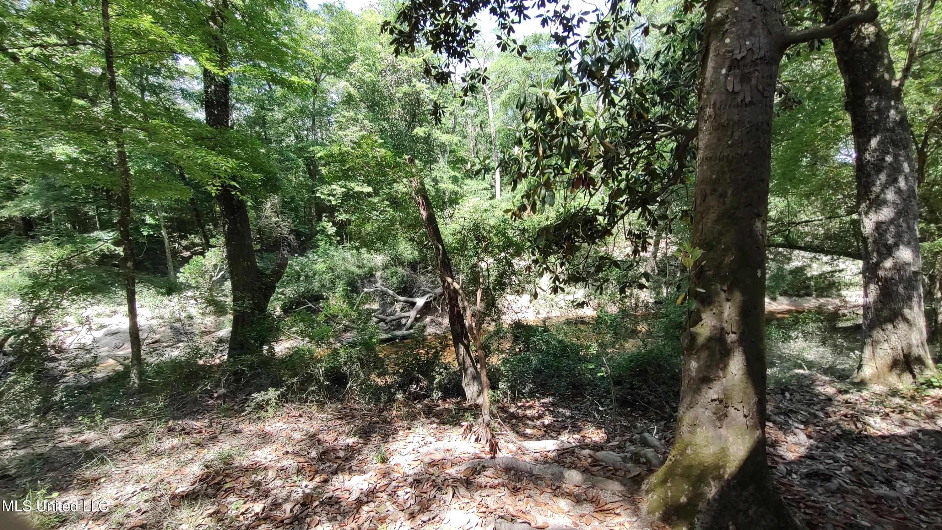 110. Rosenbaum Drive, Poplarville, Mississippi image 35