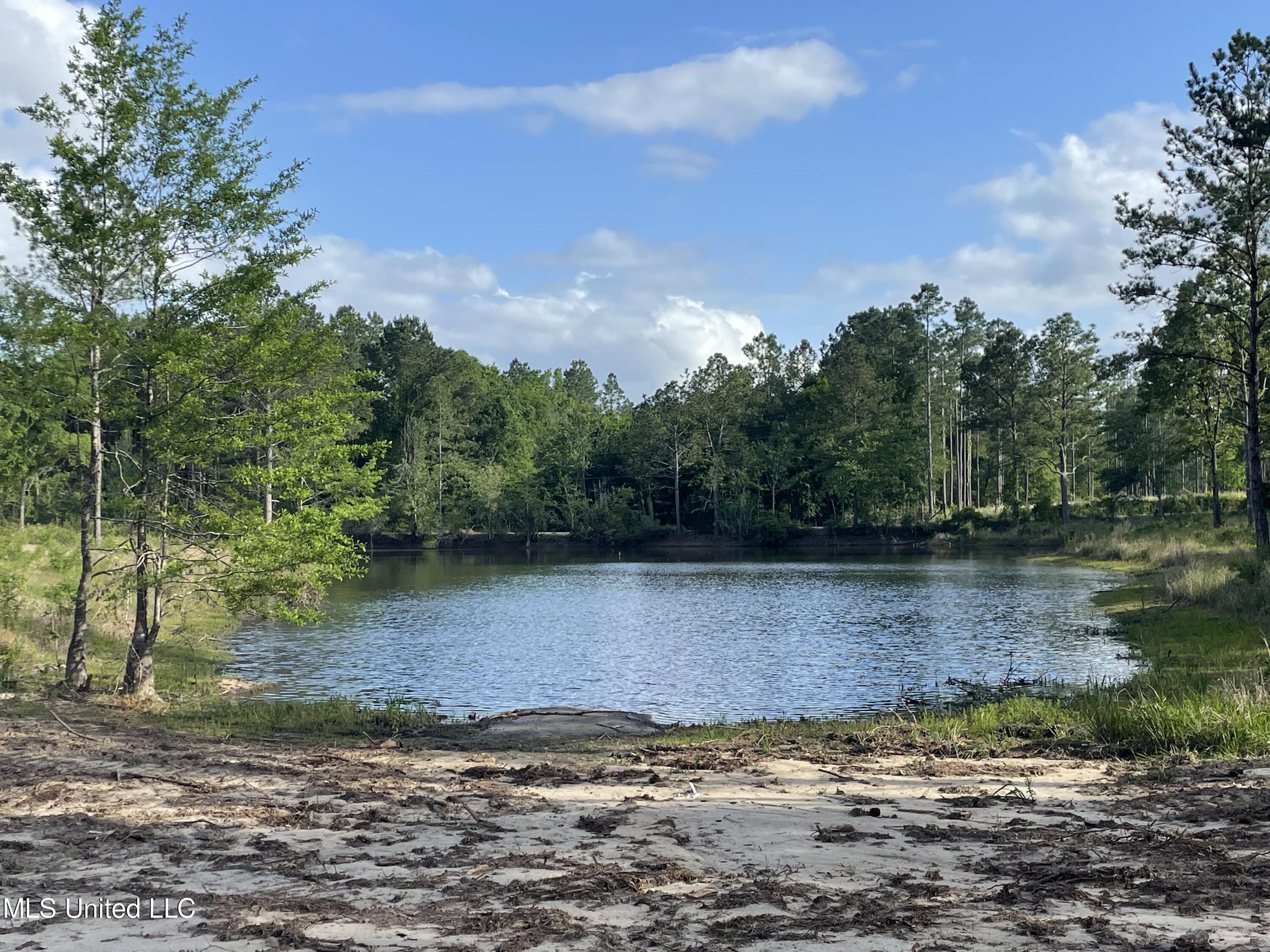 Summerour Road, Lucedale, Mississippi image 3