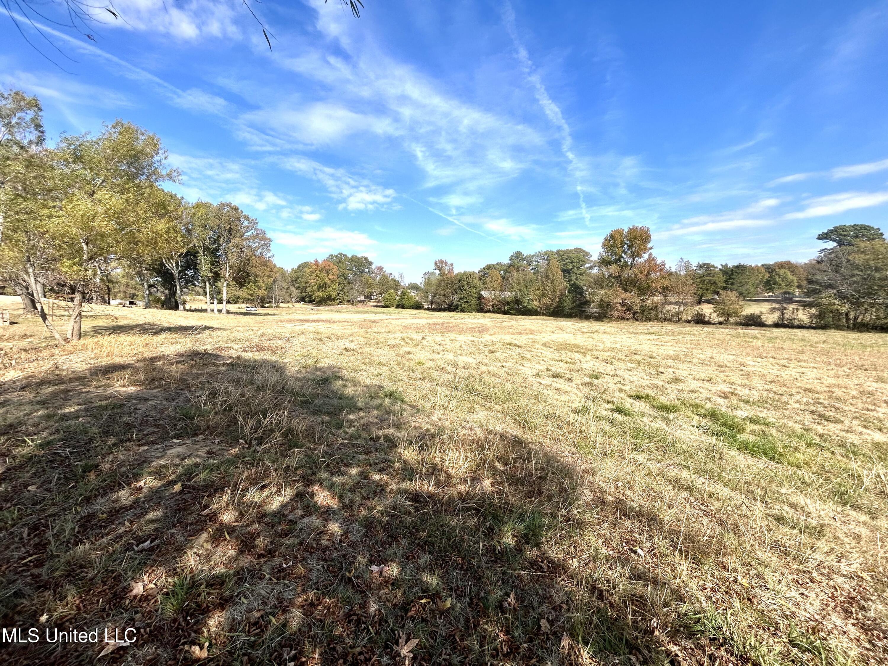 4771 W Oak Grove Road, Hernando, Mississippi image 7