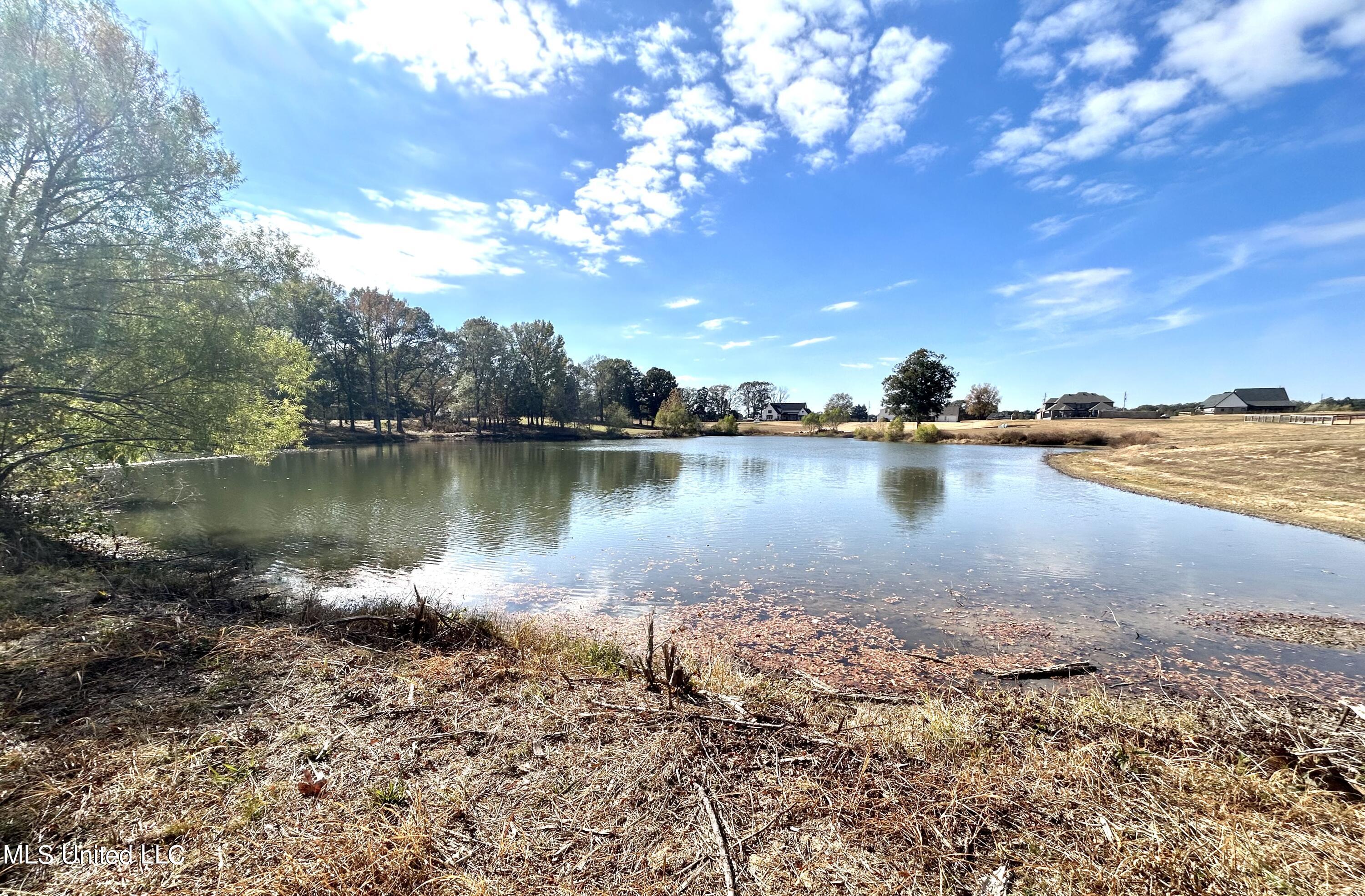 4771 W Oak Grove Road, Hernando, Mississippi image 5