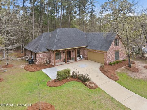 Homes For Sale - 17 Parsons Creek Road<br/> Lamar County, Hattiesburg, MS 39402