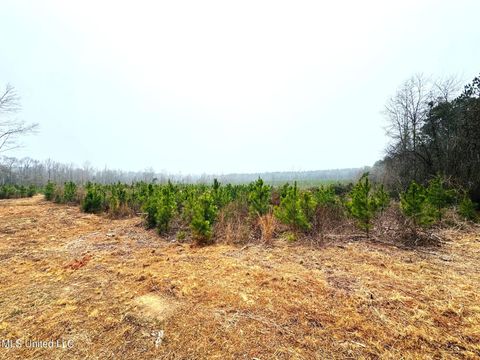 Vacant Land For Sale - 04 Sidney Ellzey Road<br/> Tylertown, MS 39667