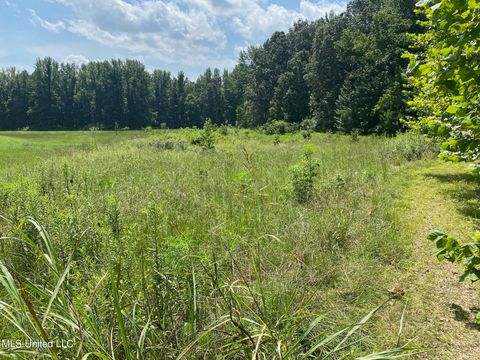 Vacant Land For Sale - Summer Oak Drive<br/> Lamar, MS 38642