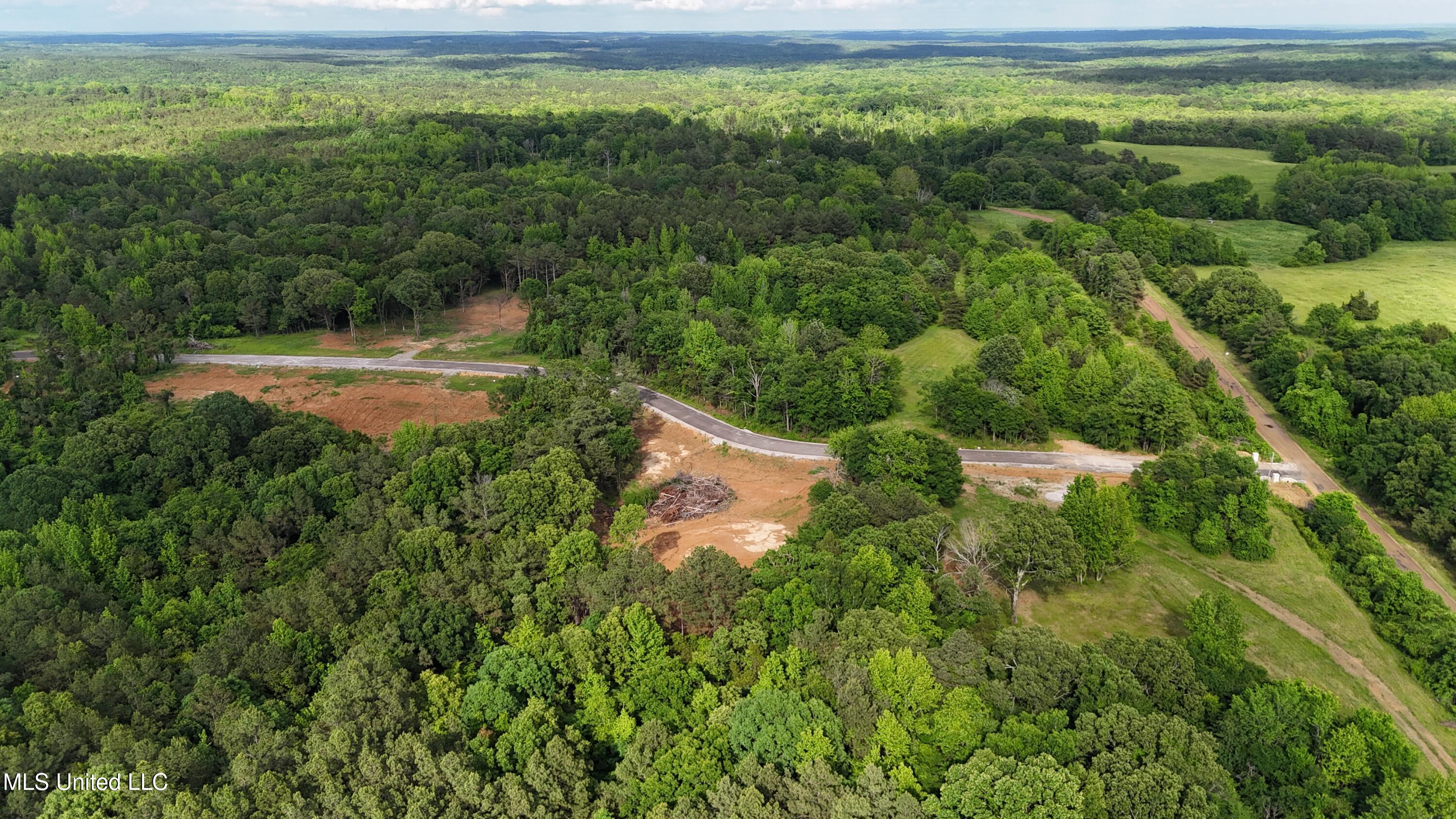 13 Tyro Branch Cove, Senatobia, Mississippi image 2