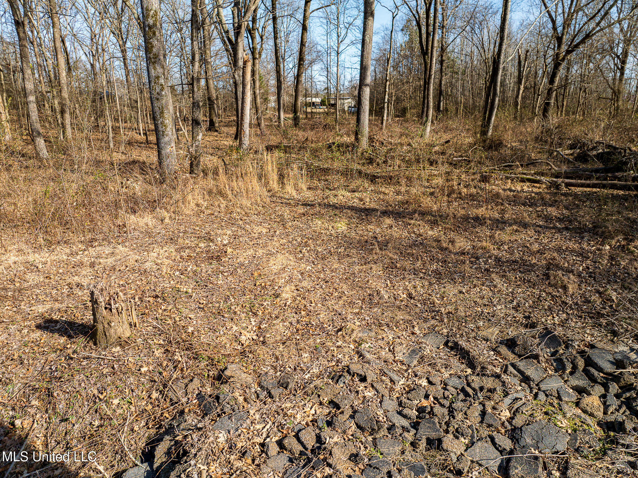 62 Shamrock Loop, Byhalia, Mississippi image 2