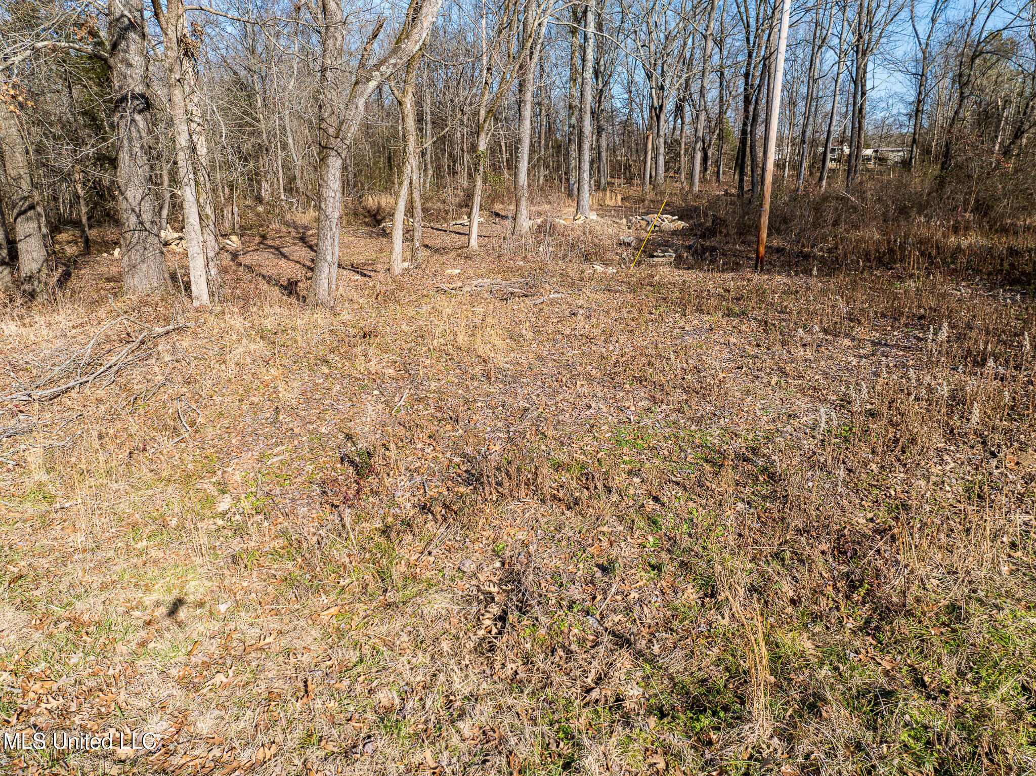 62 Shamrock Loop, Byhalia, Mississippi image 4
